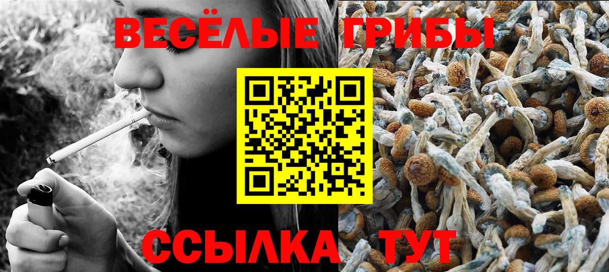 Солнечногорск  Псилоцибиновые грибы Magic Shrooms  Вход с VPN 