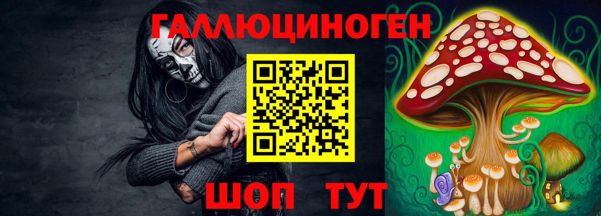 Галлюциногенные грибы GOLDEN TEACHER Солнечногорск